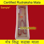 6 MM 5 Mukhi Rudraksha Mala Lab Certified